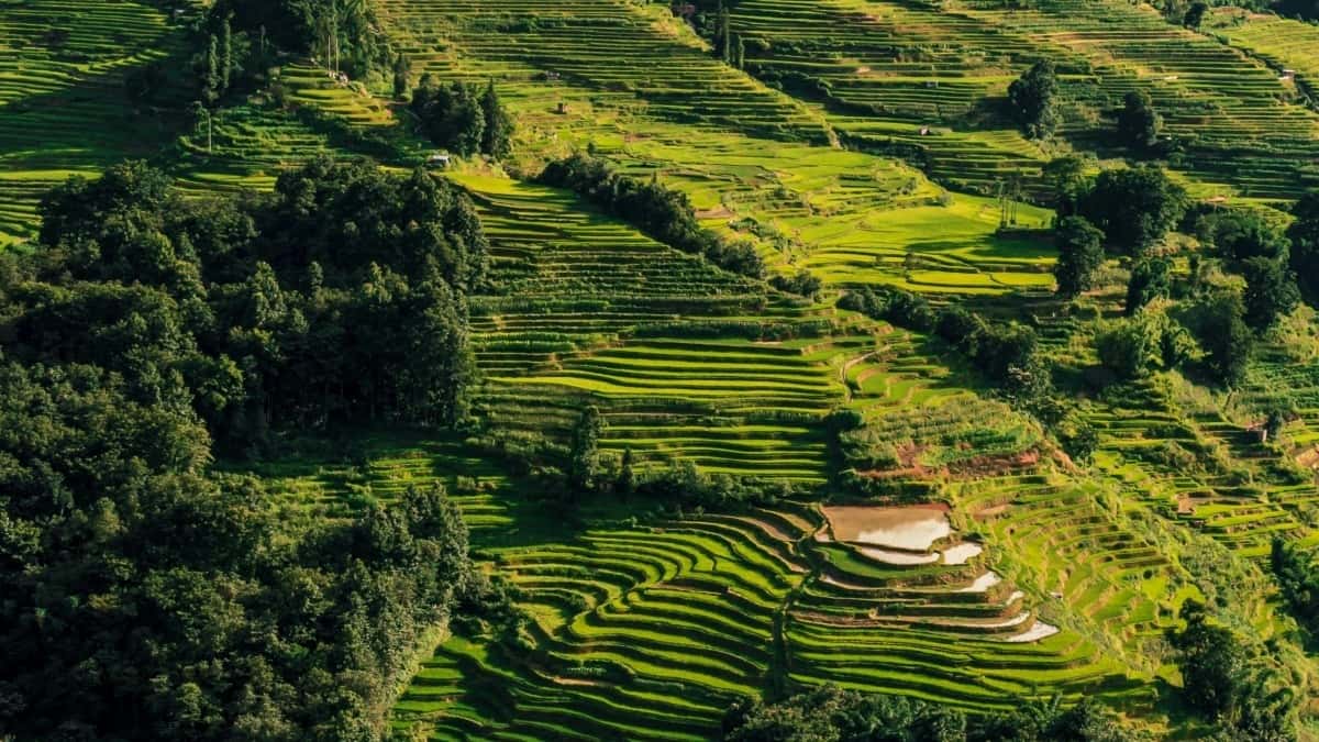 Top 10 LinkedIn Influencers Kolaborasi di Belgium untuk Pasar Indonesia