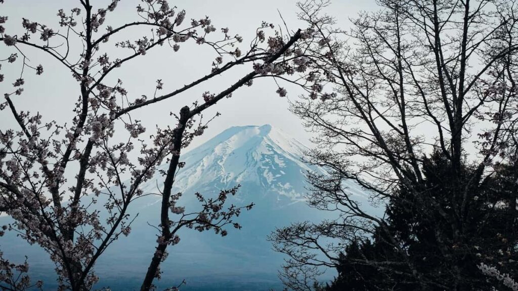 Tarif Iklan TikTok Jepang Lengkap 2025 untuk Pasar Indonesia