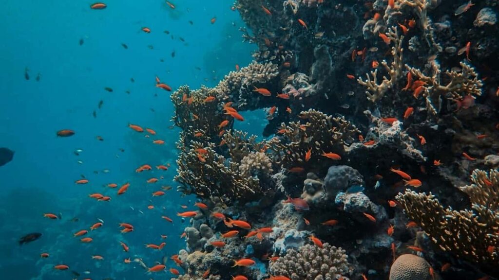 Top 10 TikTok Influencer di Netherlands Untuk Kolaborasi Kamu