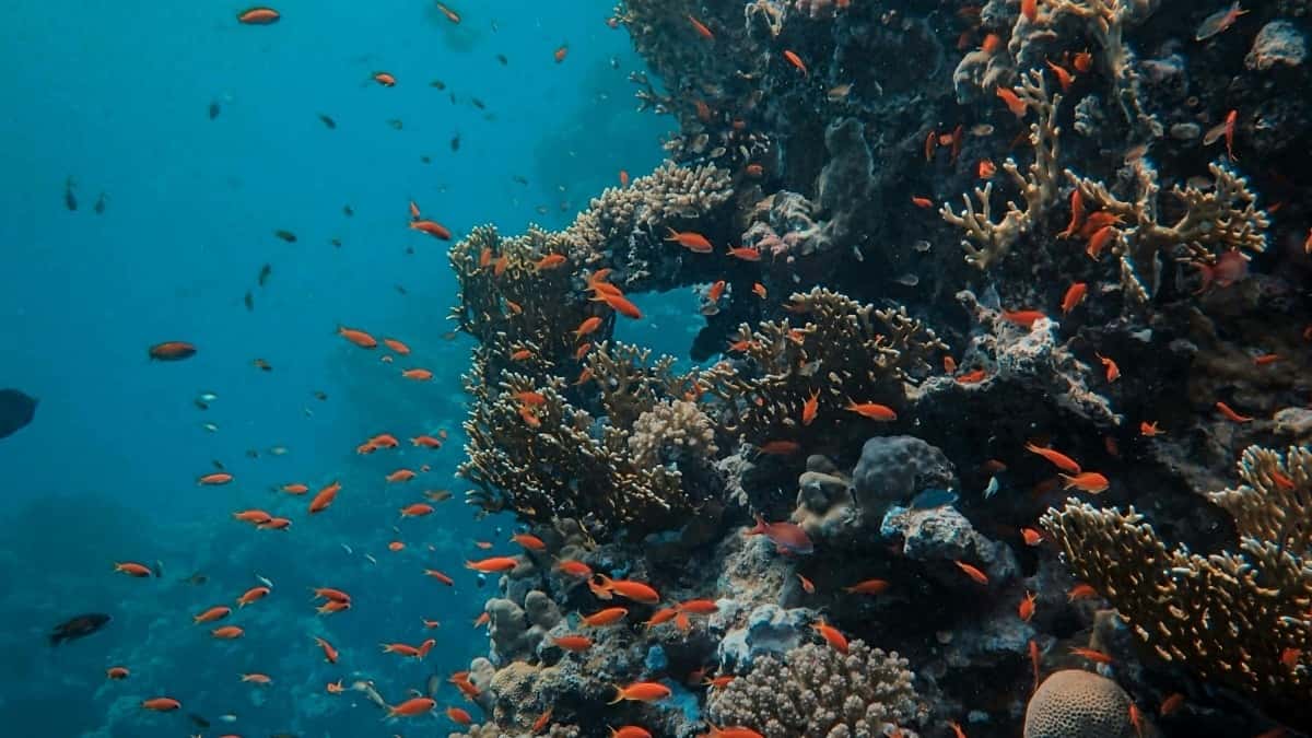 Top 10 TikTok Influencer di Netherlands Untuk Kolaborasi Kamu