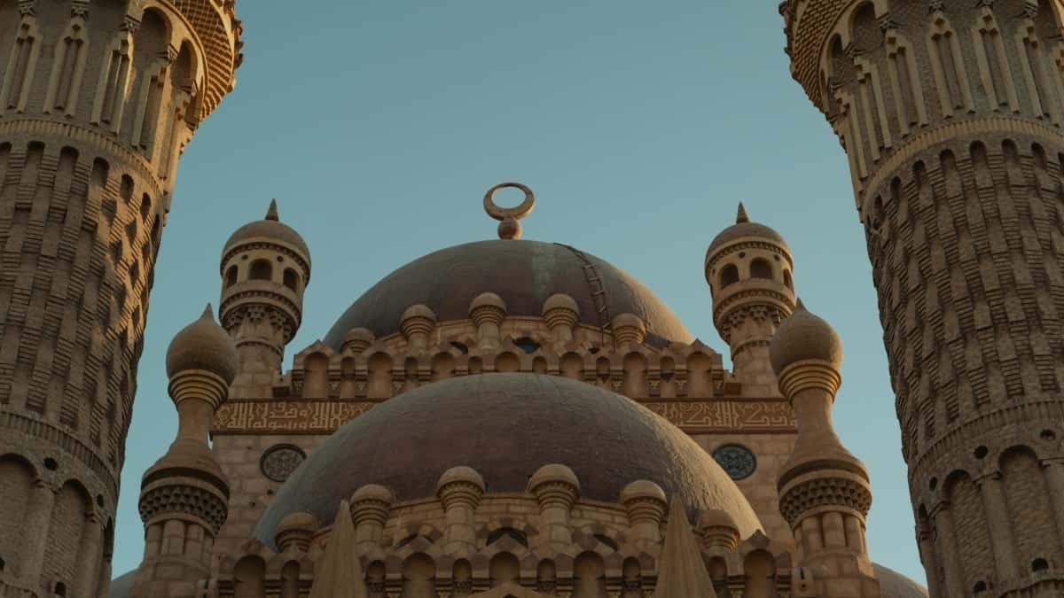 Creators: Reach Algerian Brands on Hulu - Get Deals