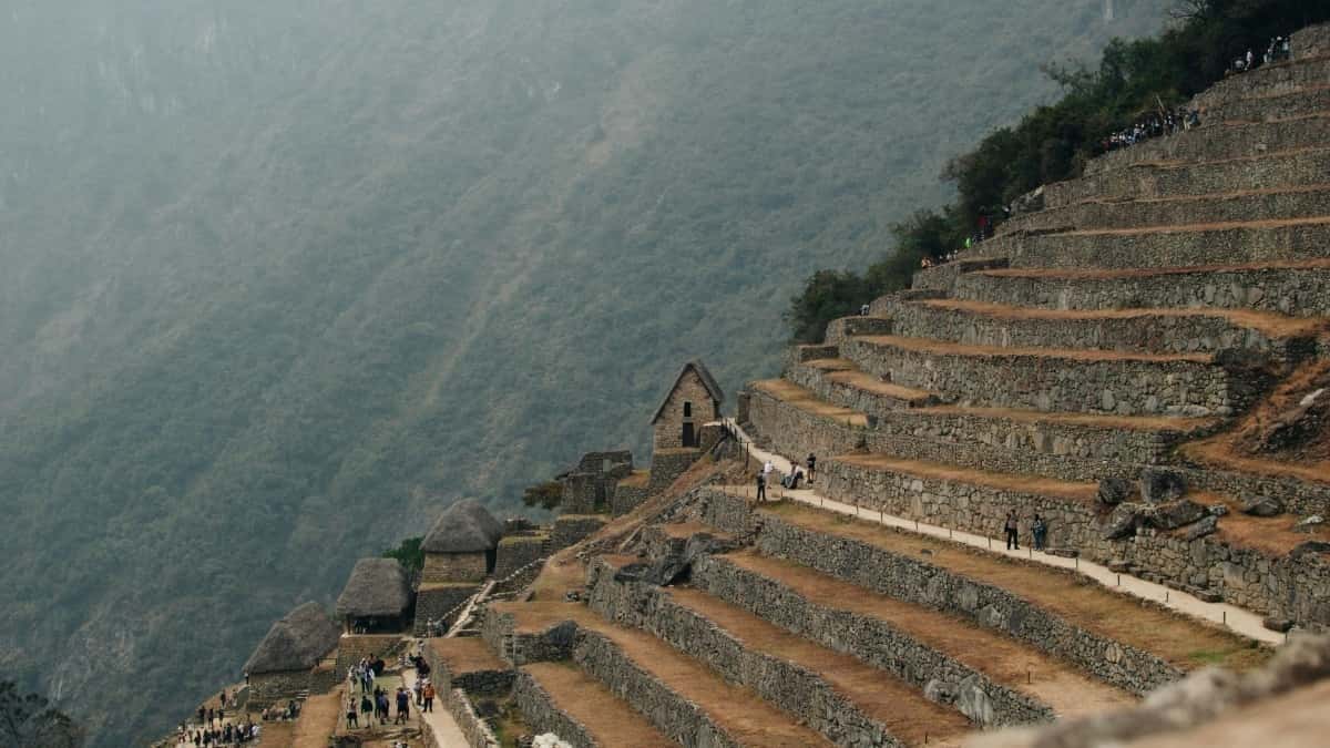 Creators: Reach Vietnam Brands on HBO Max Fast