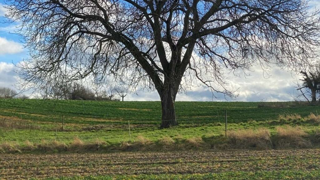 Panduan praktis bagi advertiser Indonesia: cara menemukan kreator SoundCloud Yunani untuk promosi peluncuran mobile game, plus strategi kolaborasi lokal dan contoh taktik growth.