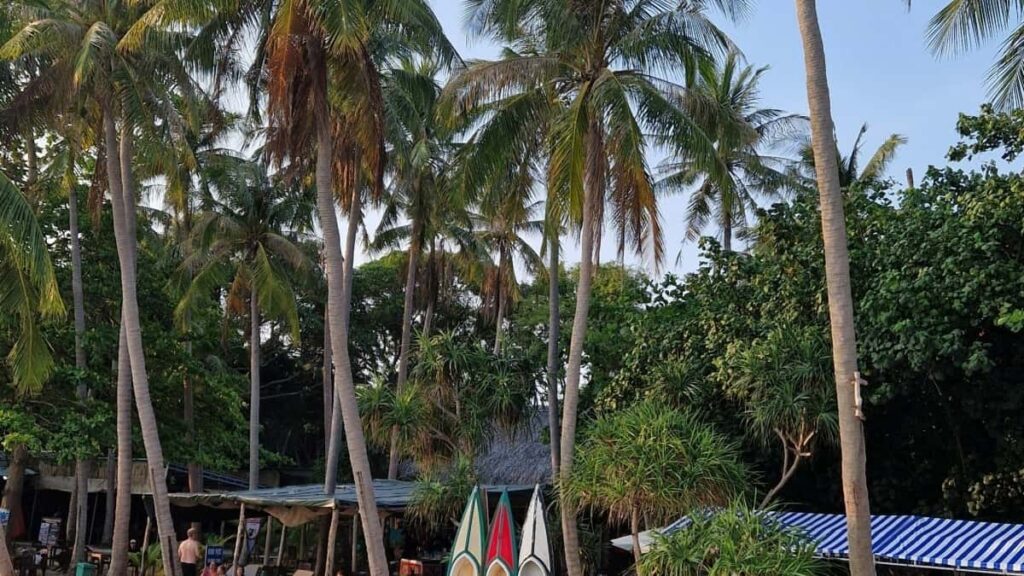 Panduan praktis buat creator Indonesia: cara menghubungi brand Singapura via Pinterest, rancang giveaway yang efektif, dan naikkan engagement lintas-negara.