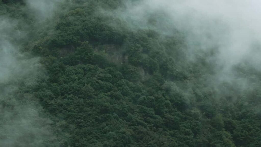 Panduan praktis untuk creator Indonesia yang ingin jangkau brand Inggris lewat OnlyFans taktik outreach, contoh kontrak, risiko parasocial, dan cara mulai promosi affiliate yang nyata.