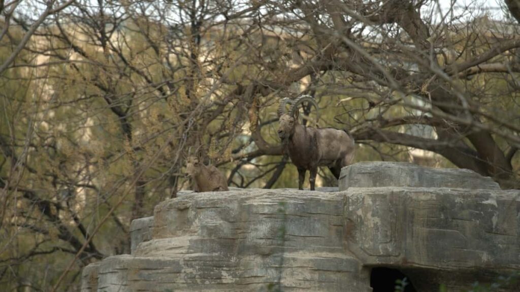 Panduan praktis untuk pemasar Indonesia: cara menemukan, menilai, dan mengontrak kreator Takatak di Uruguay guna promosikan lini skincare lengkap strategi lokal dan contoh.