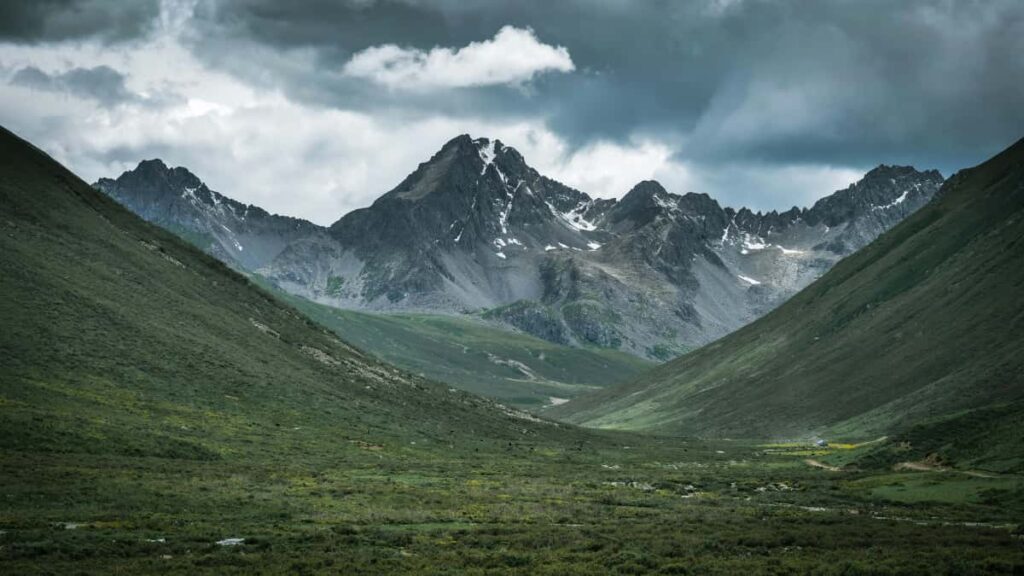 Panduan praktis untuk advertiser Indonesia: cara menemukan dan aktivasi kreator Disney Plus Prancis guna menaikkan awareness peluncuran produk kecantikan baru.