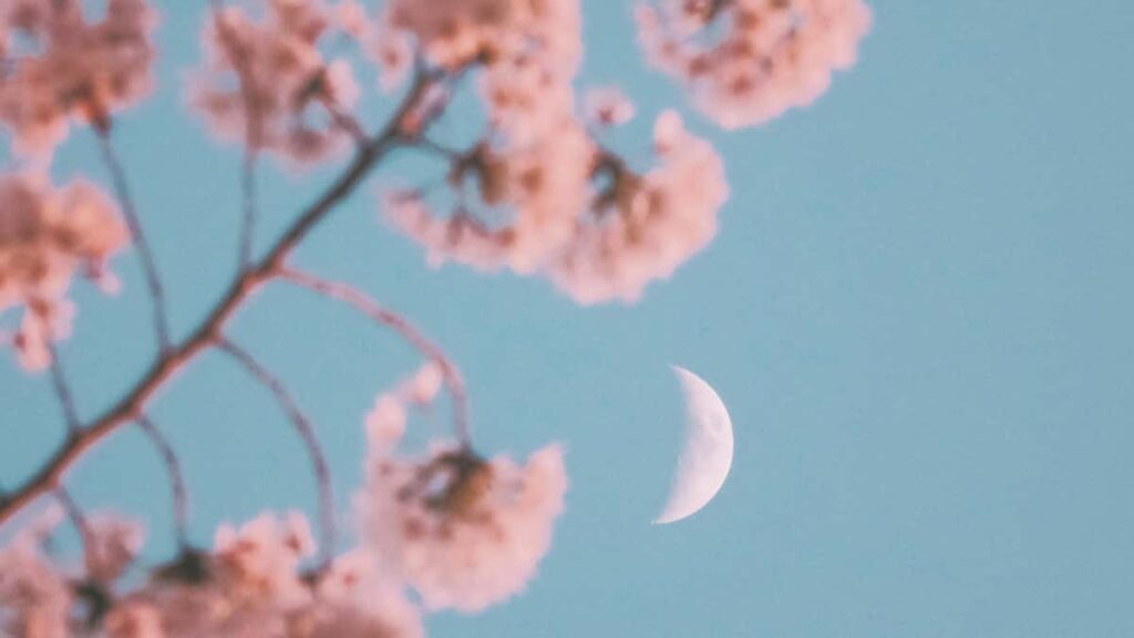 Panduan praktis untuk advertiser Indonesia yang ingin cari dan rekrut creator Twitter/X di Uruguay demi peluncuran game mobile taktik, tools, contoh outreach, dan risiko.