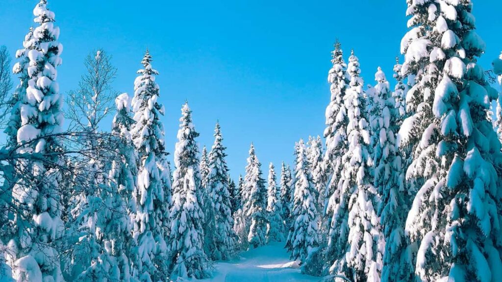 Panduan praktis untuk creator Indonesia menjangkau brand United Kingdom di Lazada, langkah outreach, kebijakan crossborder, contoh pesan, dan risiko penipuan.