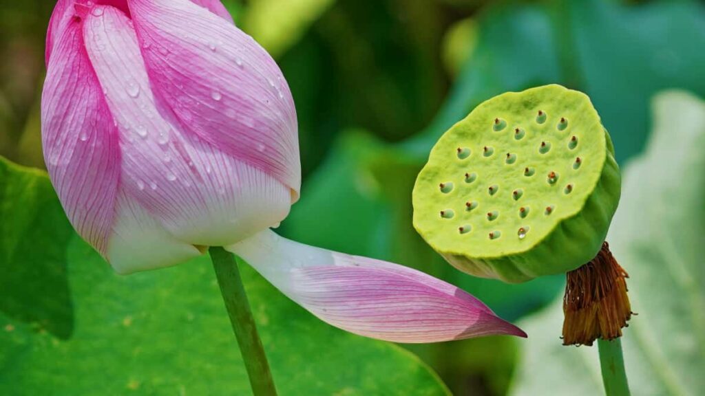 Panduan praktis buat kreator Indonesia yang mau jalin sponsorship streaming game via Clubhouse ke merek-merek Swedia strategi outreach, pitch, dan risiko regulasi.