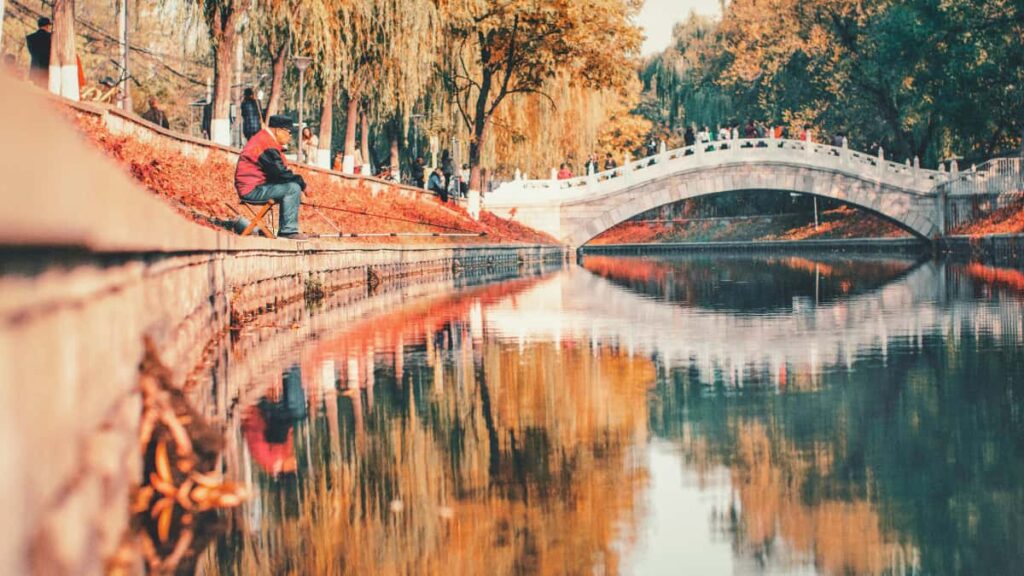 Panduan praktis bagi creator Indonesia untuk kontak brand Swedia di Shopee, bikin testimonial video, dan manfaatkan affiliate & partnership tools.