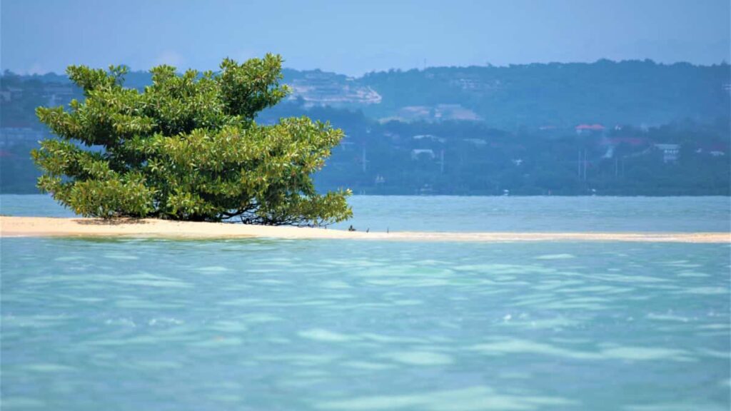 Panduan praktis untuk pengiklan Indonesia: cara menemukan kreator Rumble di Kuwait, tawarkan fixed-fee, negosiasi, dan optimasi kampanye lokal.