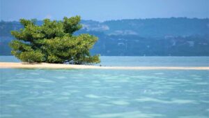 Panduan praktis untuk pengiklan Indonesia: cara menemukan kreator Rumble di Kuwait, tawarkan fixed-fee, negosiasi, dan optimasi kampanye lokal.