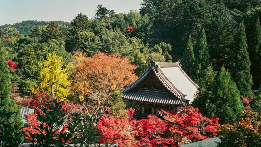 Panduan praktis untuk advertiser Indonesia yang ingin menemukan kreator Etsy di Kanada dan menjalankan creator-led sales pushesstrategi, tools, dan langkah operasional.