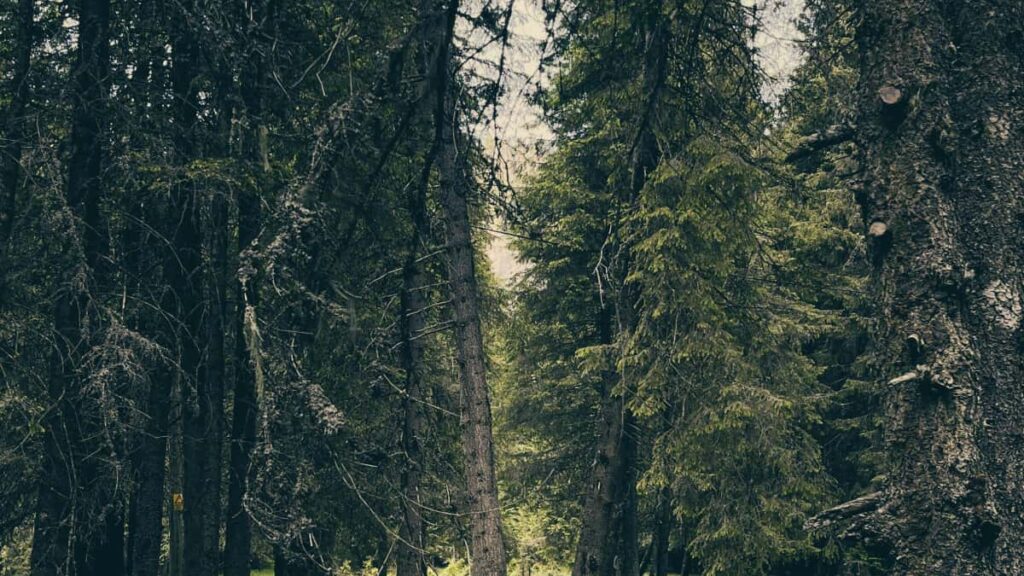 Panduan praktis untuk kreator Indonesia yang ingin menjangkau dan negoisasi fee tetap dengan merek Malta lewat Clubhouse: strategi outreach, pitch, dan risiko yang perlu diwaspadai.