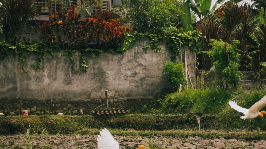 Panduan praktis buat kreator Indonesia: strategi, kanal, dan pitch untuk jangkau brand Inggris di Spotify dan gabung program micro-creator seeding.