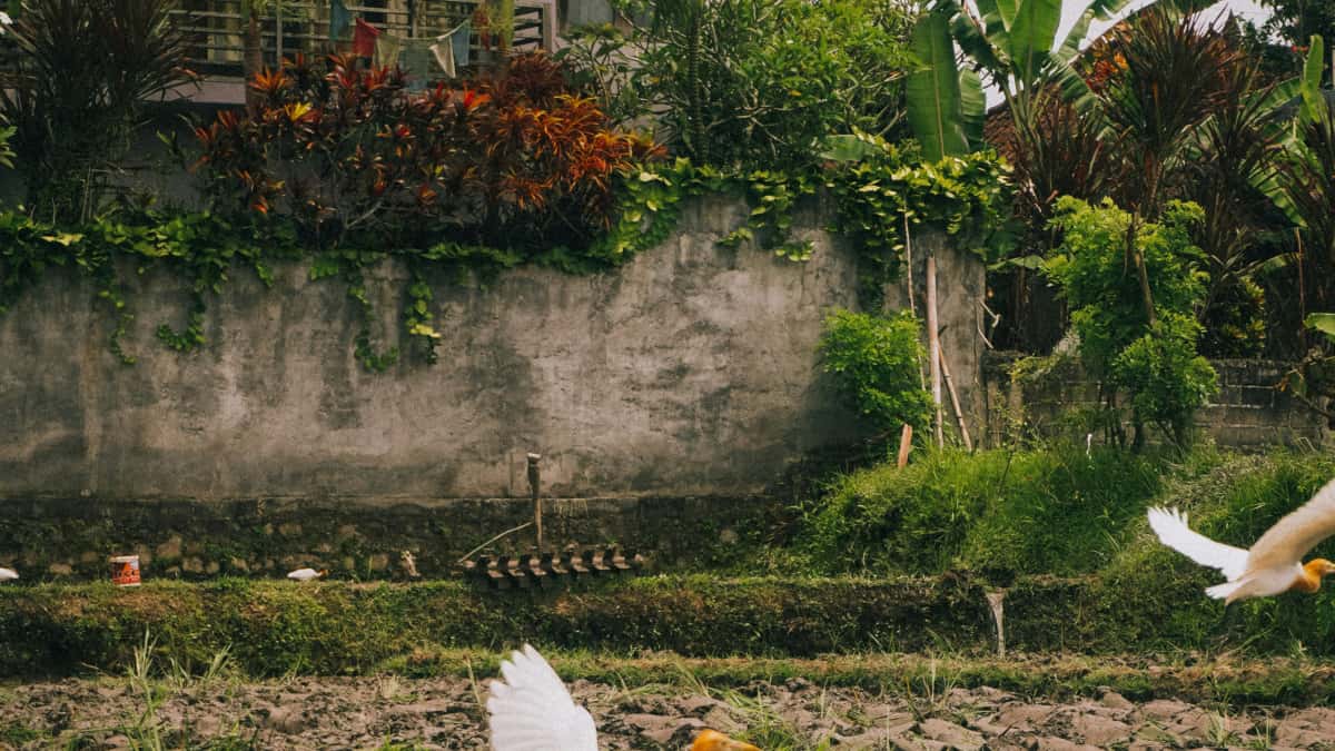 Creator Indo: Cara Jangkau Brand UK di Spotify untuk Program Seeding