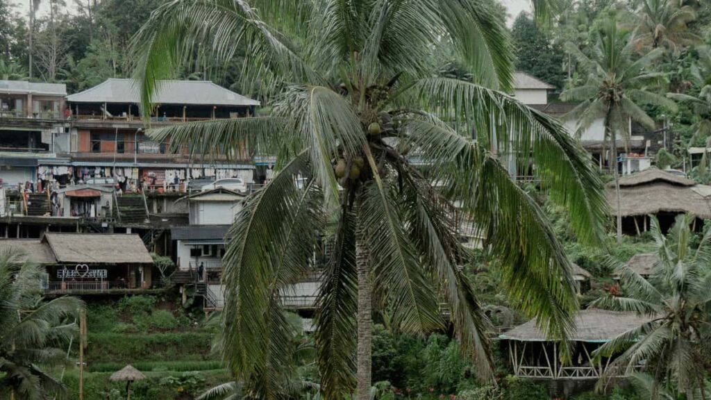 Panduan praktis untuk pengiklan Indonesia: cara menemukan, menilai, dan mengontrak kreator Reddit asal Argentina demi menjangkau audiens niche secara efektif.