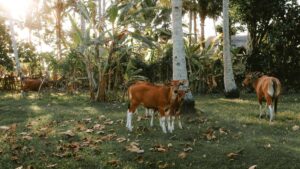 Panduan praktis untuk advertiser Indonesia: cara menemukan creator eBay di Mongolia untuk product seeding ke beauty bloggers, plus tips verifikasi, outreach, dan kampanye.