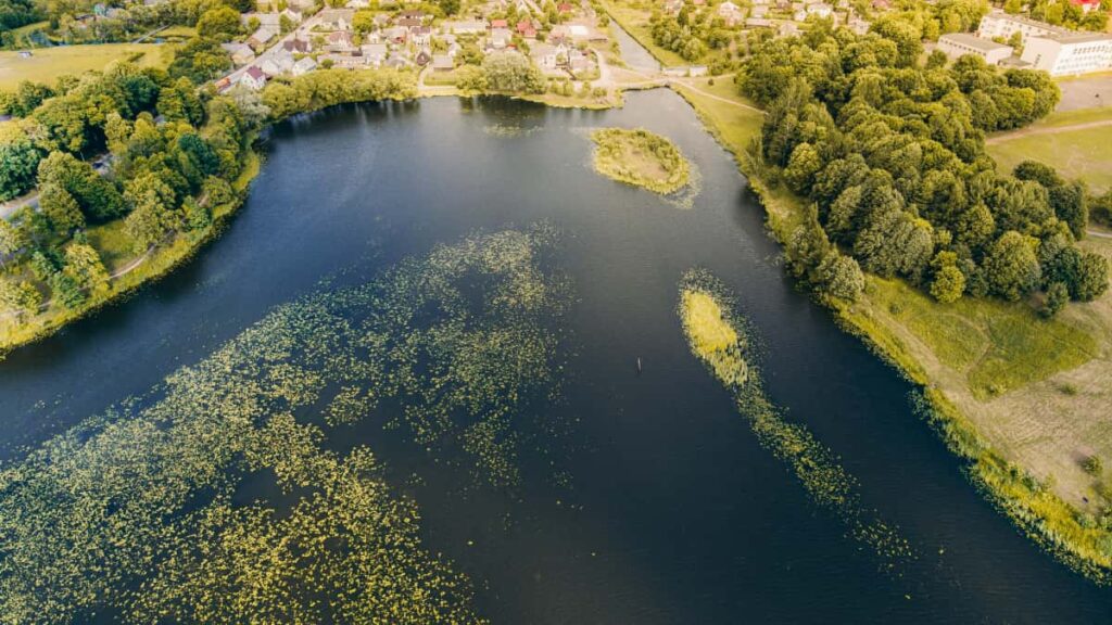 Panduan praktis untuk advertiser Indonesia: cara menemukan creator Instagram Paraguay yang relevan untuk uji coba SaaS, dari riset audience sampai eksekusi kampanye.