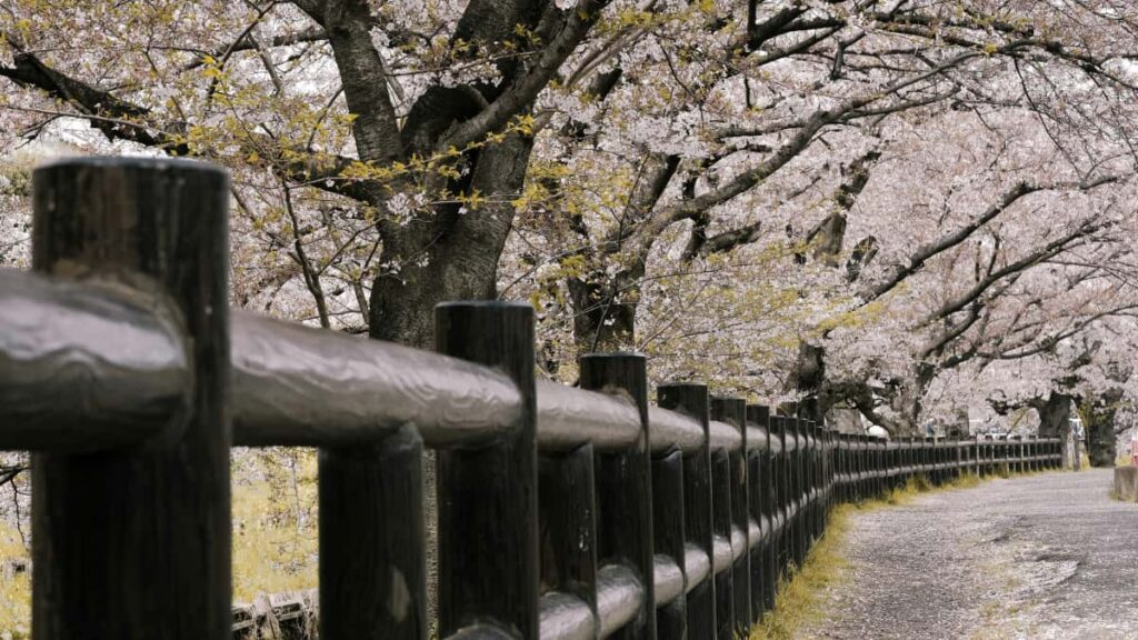 Panduan praktis untuk advertiser Indonesia: cara menemukan creator Zalo di Kamboja untuk uji konsep produk, plus taktik outreach, mitigasi risiko keamanan, dan contoh kampanye.