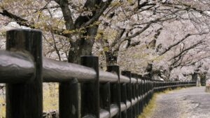 Panduan praktis untuk advertiser Indonesia: cara menemukan creator Zalo di Kamboja untuk uji konsep produk, plus taktik outreach, mitigasi risiko keamanan, dan contoh kampanye.