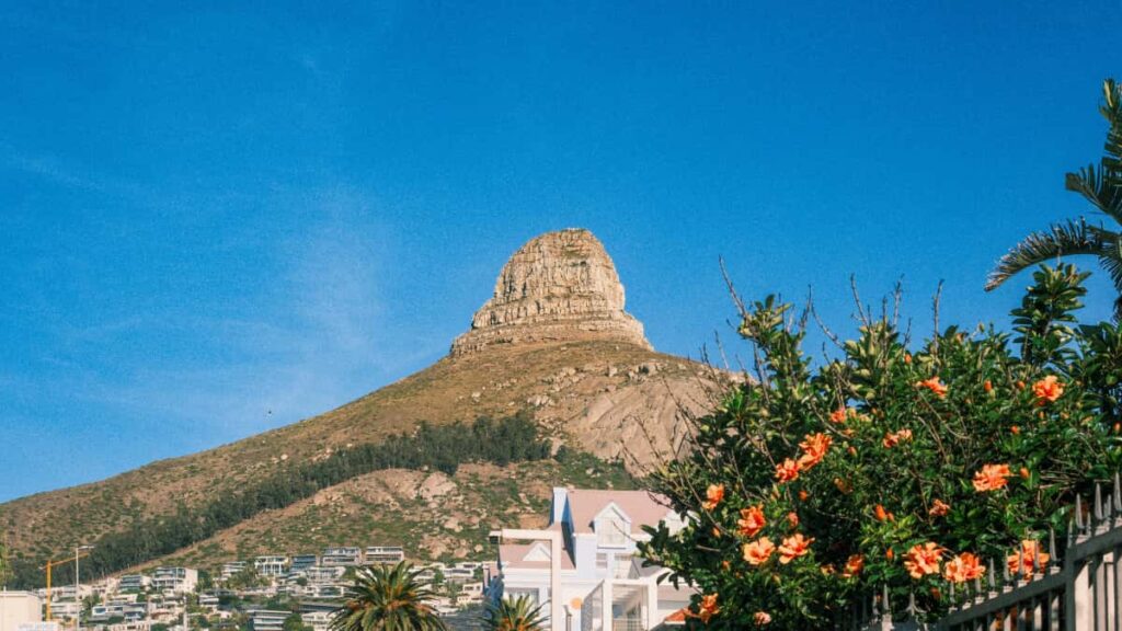 Panduan praktis bagi advertiser Indonesia: cara menemukan dan menyewa creator China/Josh untuk review produk visual, plus risiko regulasi terbaru dan tips mitigasi.