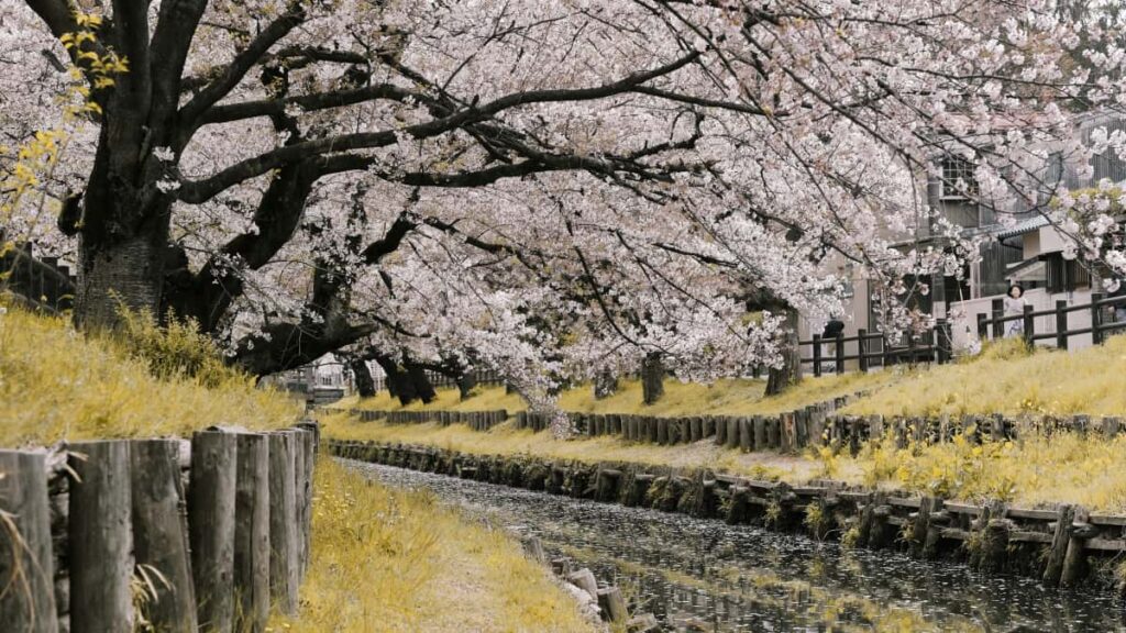 Panduan praktis untuk advertiser Indonesia: cara menemukan dan menguji konsep produk bersama creator Xiaohongshu di Swiss, termasuk strategi lokal, tools, dan contoh kolaborasi lintas-platform.