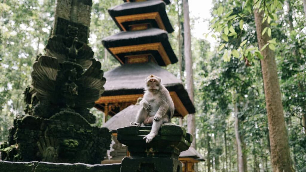 Panduan praktis untuk advertiser di Indonesia: cara menemukan creator Snapchat Israel buat campaign reaction album, strategi sourcing, mitigasi risiko, dan taktik kolaborasi.