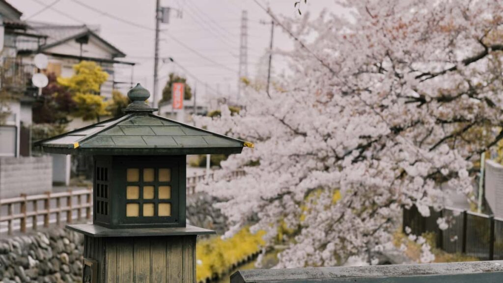 Panduan praktis untuk advertiser Indonesia: langkah cari, seleksi, dan aktivasi kreator Josh dari Polandia guna promosi paket tur lokal dengan hasil nyata.