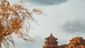 Panduan praktis buat creator Indonesia: langkah, template pesan, dan strategi legal untuk reach brand Denmark di Facebook dan amankan sponsorship streaming game.