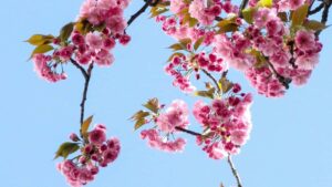 Panduan praktis untuk advertiser Indonesia: cara menemukan kreator Taobao Filipina yang pas untuk kolab dance challenge di TikTok, tips outreach, alat pertumbuhan, dan risiko yang perlu dicatat.