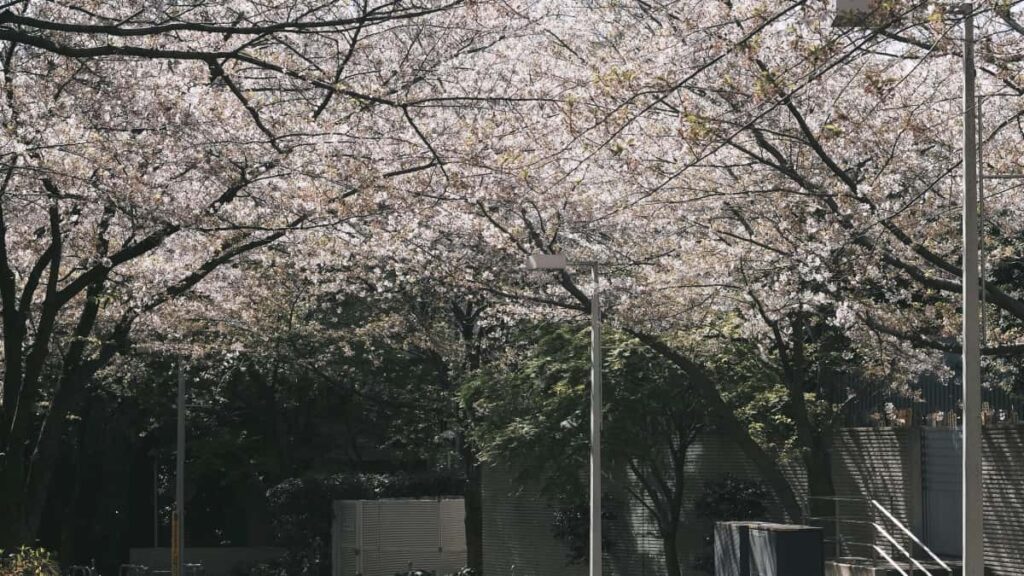 Panduan praktis untuk creator Indonesia yang mau jalin kerja sama berbayar dengan brand Serbia lewat Bilibili strategi, kontak, dan taktik negosiasi.