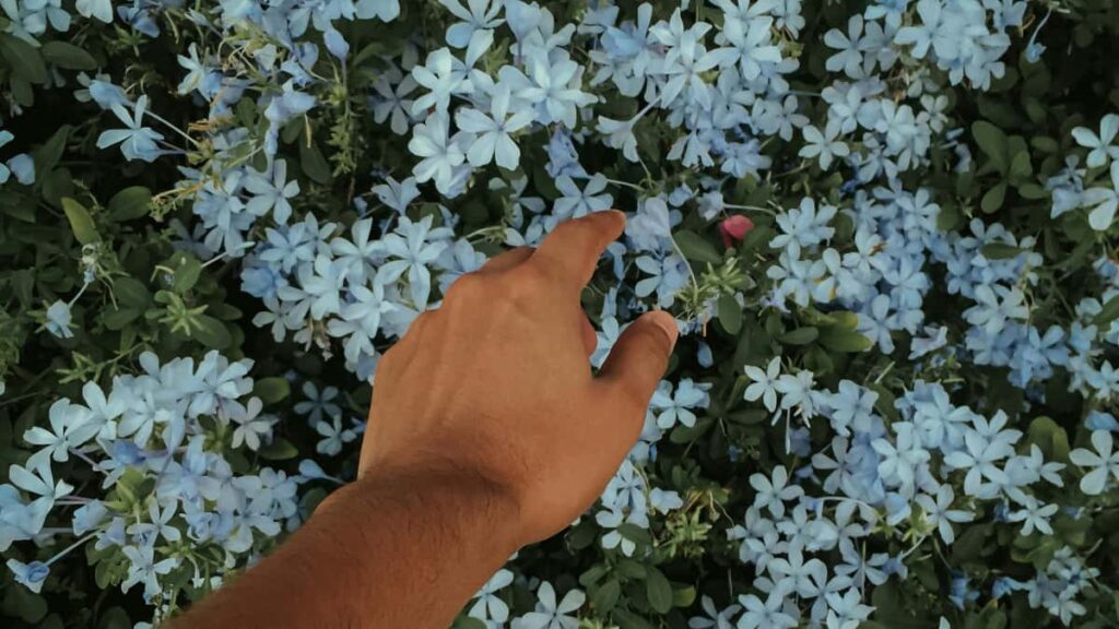 Panduan praktis untuk kreator Indonesia menjangkau brand Iran di Shopee, verifikasi toko, komunikasi, dan taktik styling konten agar kolaborasi nyata bisa terjadi.